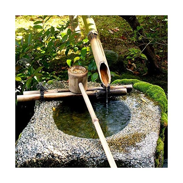 HYDRA-Fountain-Clear--Best-Water-Feature-Cleaning-Fountain-Cleaner-Treatment-Keeps-Water-Crystal-Clear-from-Algae-Green-Water-Biofilm-Build-up-500ml-Treats-15000L-Highest-Dilution-Rates HYDRA Fountain Clear Water Feature Cleaner | 500ml Treats 15,000L Highest Dilution Rates - Water Feature Treatment Keeps…