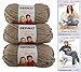 Bernat Softee Chunky Yarn Bundle Super Bulky #6, 3 Skeins, Soft Taupe