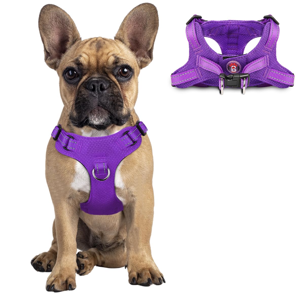 Photo 1 of Dog Harness Step in Dog Vest Harness, Reflective Adjustable Puppy No Pull Harness Breathable Soft for Small and Medium Dogs Cats, Purple, S