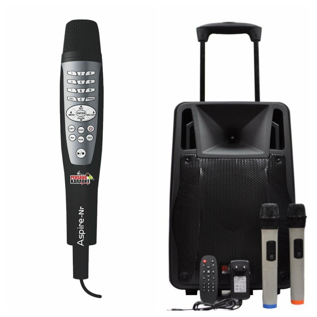 portable speaker with 2 microphones