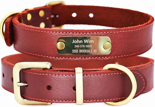 soft personalized dog collars