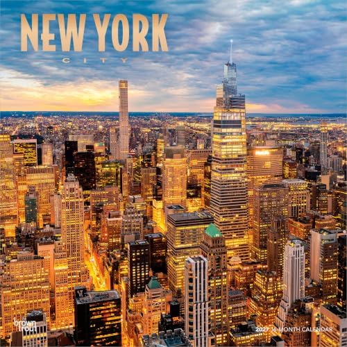 New York Air: The View from Above: Steinmetz, George