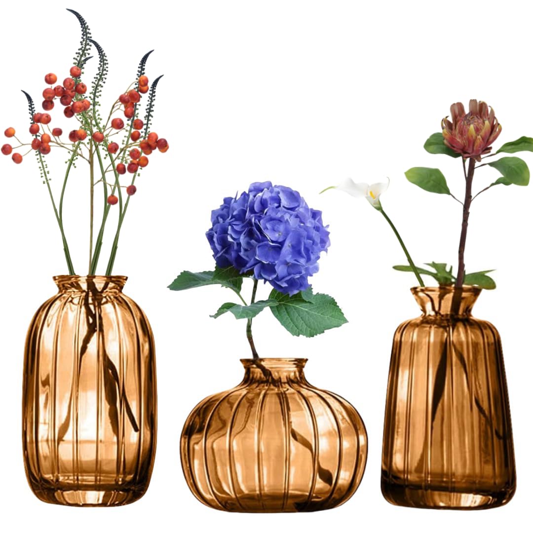 MEETOZ Glass Bud Vase Set of 3- Small Vases for Flowers, Home Table Flower Decor, for Office or Wedding Events