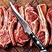 KESSAKU Boning Knife - 6 inch - Dynasty Series - Razor Sharp Kitchen Knife - Forged ThyssenKrupp German High Carbon Stainless Steel - G10 Garolite Handle with Blade Guard