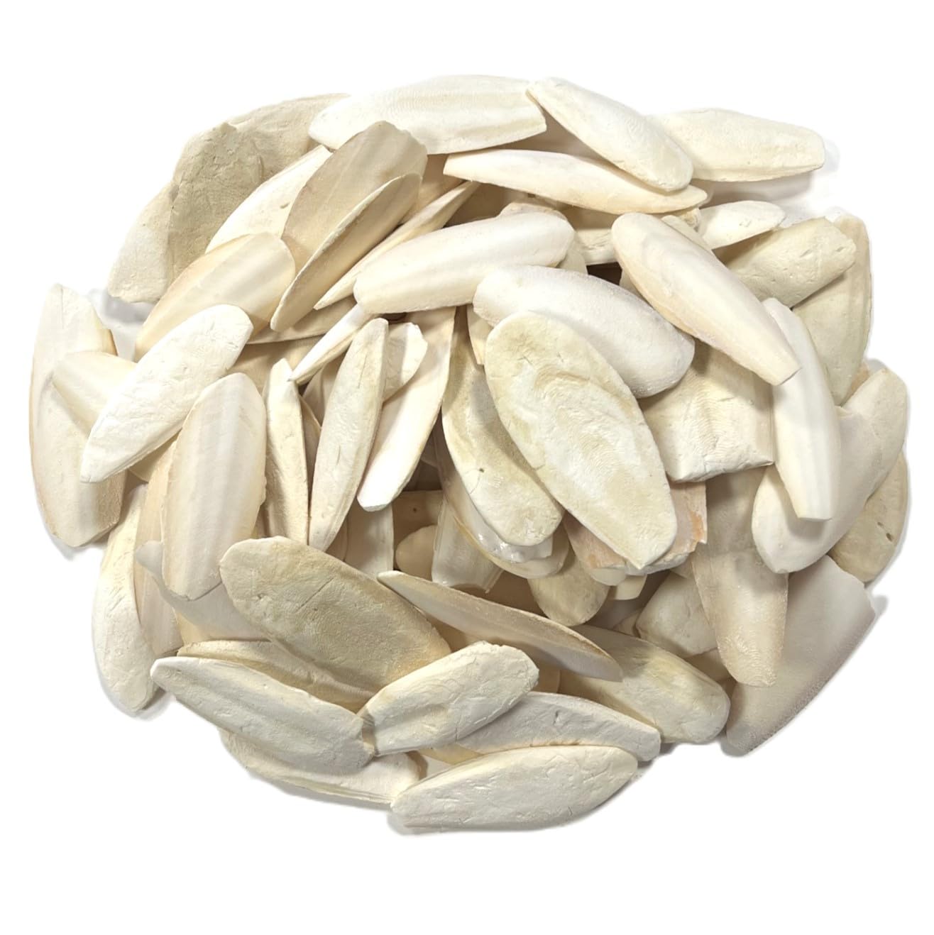 500g Premium Quality Cuttlefish Bone (7-10cm) Suitable for Cage Birds, Reptiles etc. SLDS