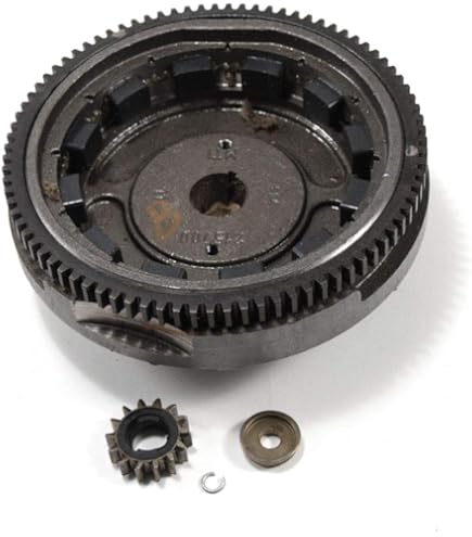 Ventola Per Volano Briggs & Stratton 796201 - Ricambio Per Motori 319000 E 31A000, Sostituisce 699708/794436 - Foto 11