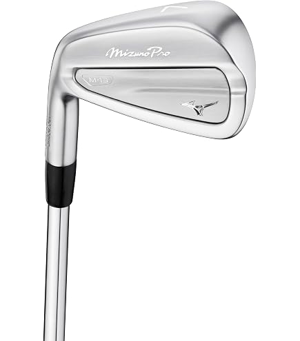Amazon.com: Mizuno Pro 223 Golf Iron Set 4- GW, Right Hand, Steel