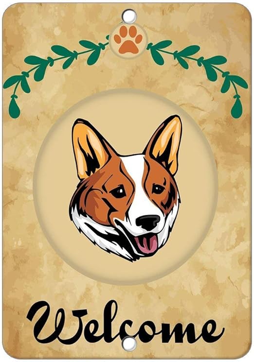 corgi sweater amazon