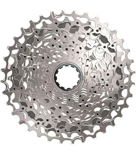 Sram Unisex - Adult Xg-1275 Eagle Xd Sprocket Cassette, Grey, 10