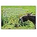 JOKES postcard set of 20. Post card variety pack of funny joke postcards. Made in USA.