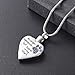 memorial jewelry No Longer by My Side,But Forever in My Heart Carved Locket Cremation Urn Necklace for Pet Dog Cats(Light Blue)