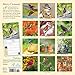 Audubon Birds in The Garden Wall Calendar 2019