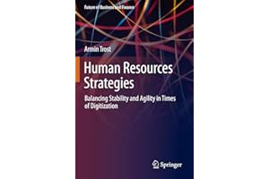 Human Resources Strategies: Balancing Stability and Agility in Times of Digitization