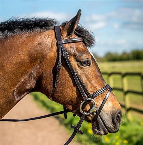 Leather Padded Bridle With FREE Rubber Reins All Sizes Black or Brown (BROWN, COB)