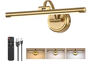 TASSUOWELL Picture Light for Wall,Battery Operated Art Lights for Painting,3 Color Selections and Brightness, Adjustable Wireless Portrait Lights with Remote for Artwork,Bookcase,Photo Frames(Brass, 15.7inch)