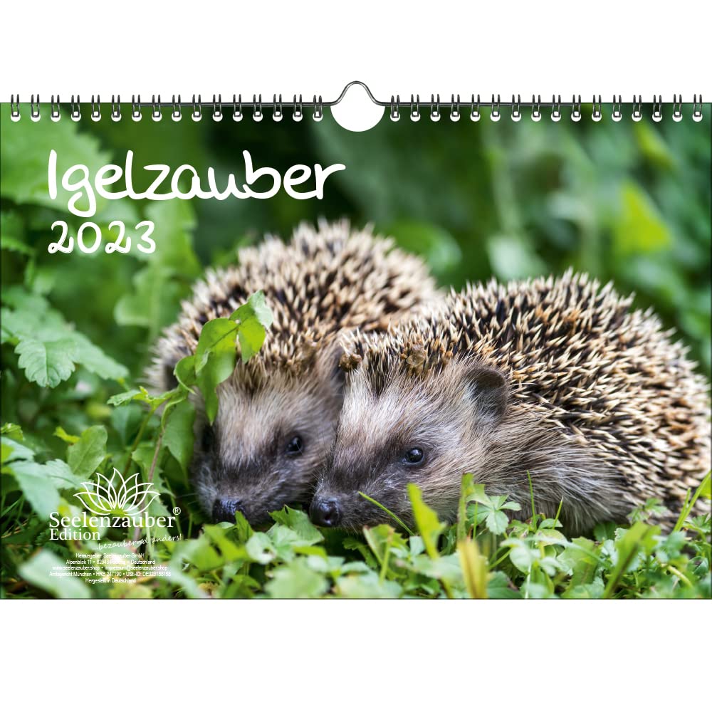Hedgehog Magic DIN A4 Calendar for 2023 Hedgehog - Seelenzauber