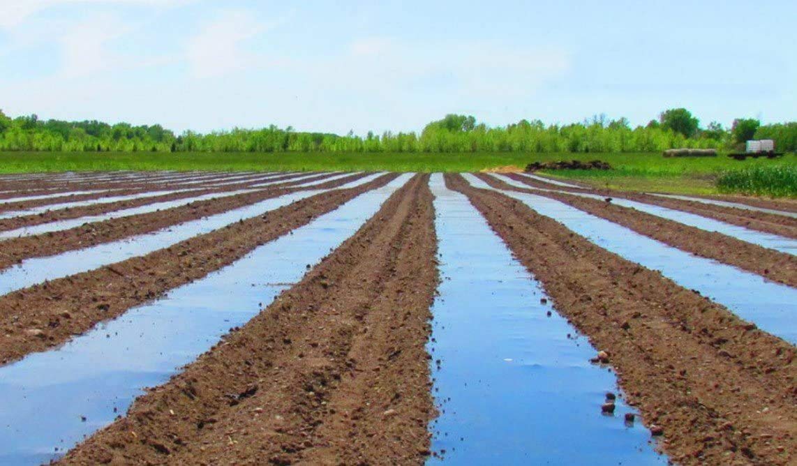 Buy Biodegradable Agricultural Plasticulture Black Mulch