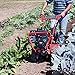 Earthquake 5055C Rear Tine Rototiller with 205cc 4-Cycle Briggs and Stratton Engine, Counter-Rotating Tines
