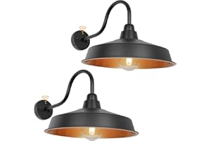 Diyel Dusk to Dawn Gooseneck Barn Light Outdoor, 16 Inch Dome Large Farmhouse Exterior Light Fixture Wall Mount, Industrial Outdoor Wall Sconce Outside for House, Shop, Porch, Garage, DDRZ020 GD-2PACK