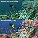 CamKix Diving Lens Filter Kit Compatible with GoPro Hero 5 and Hero 4 Session Camera - Enhances Colors for Various Underwater Video and Photography Conditions