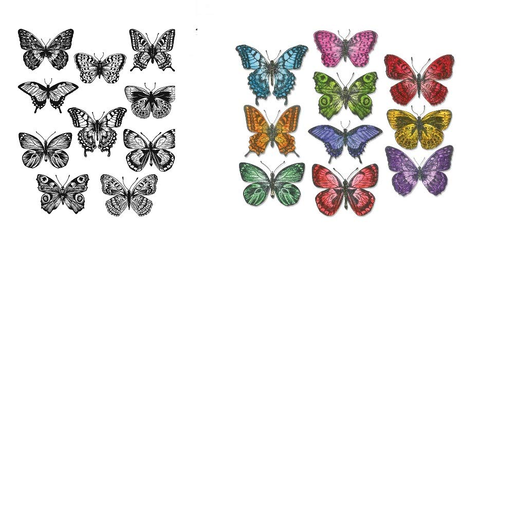 Bundle Tim Holtz Flutter Butterflies Die & Stamps 662269 CMS294