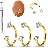 Horseshoe Nose Ring 20G U Shape Piercing Jewelry Titanium Steel Gold Double Gem Small Hoop for Helix Lip Cartilage Tragus Septum