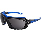 Birdz Eyewear Gasket Safety Padded Motorcycle Sport Sunglasses Blue with Smoke Lens