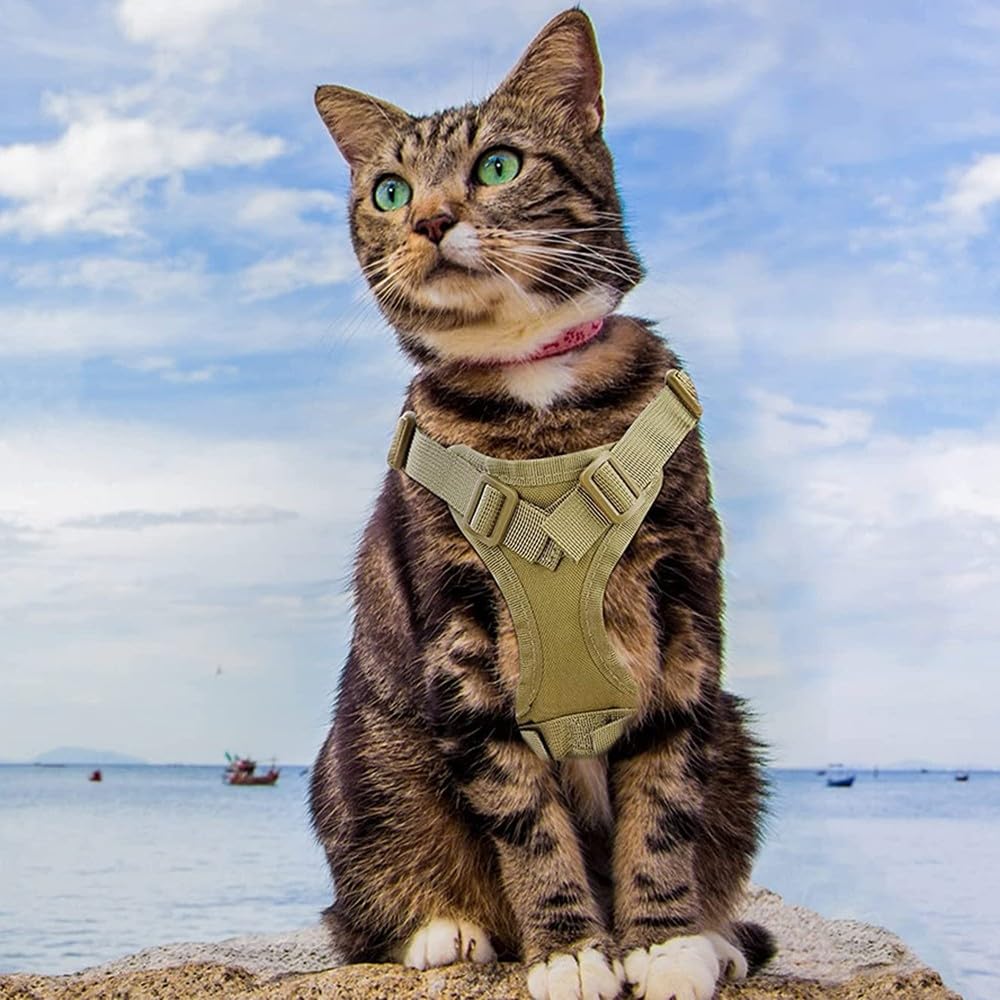 View 6