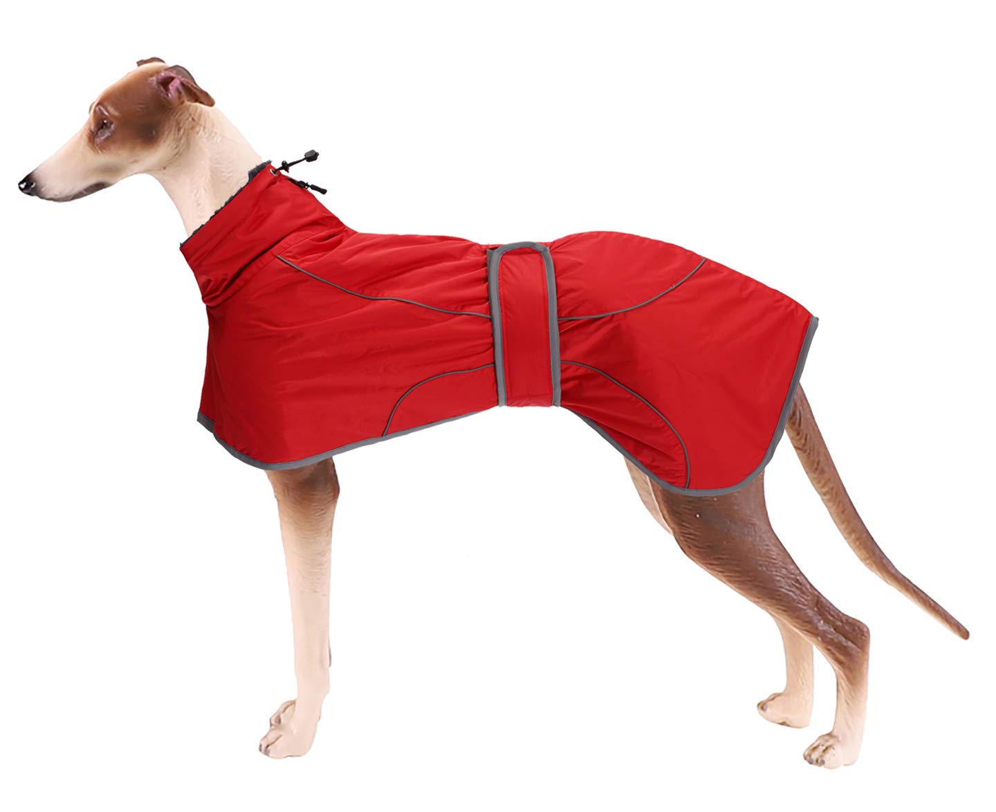 Greyhound Winter Coat, Whippet Coat with Padded Fleece Lining, Water Resistant Dog Jacket with Adjustable Bands and Reflective - Red - Xlarge