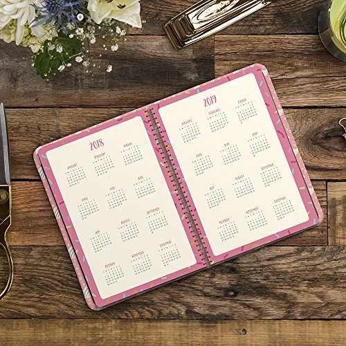 Orange Circle Studio 2019 On-Time Weekly Planner, August 2018 - December 2019, Potpourri