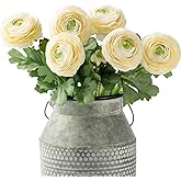 Artificial Ranunculus Flowers with Real Touch Stem, Silk Ranunculus Flowers (6 Pack) (White)