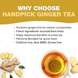 HANDPICK Ginger Tea Bags 100 Count Non GMO Pure Ingredients view 3