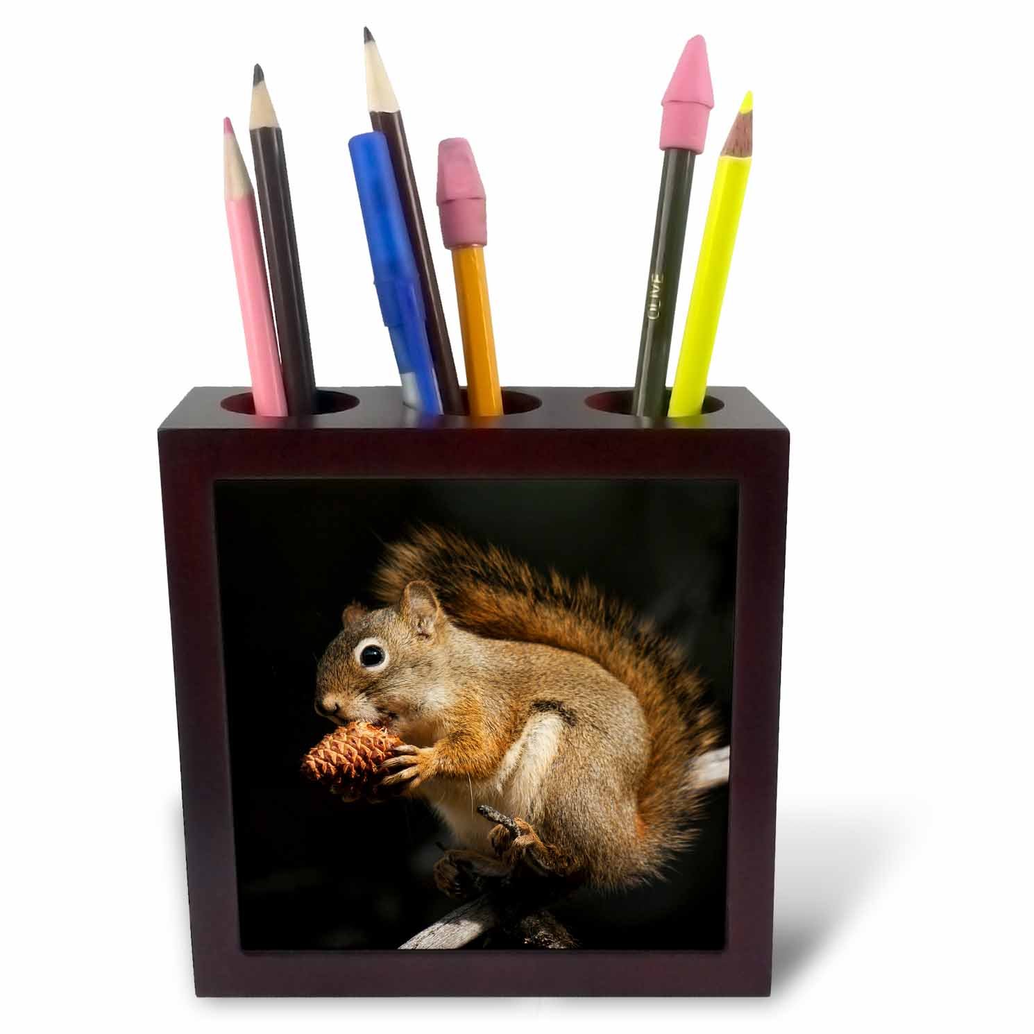 3dRose ph_228436_1 5-Inch "Squirrel Eating Pine Nut" Tile Pen Holder - Red