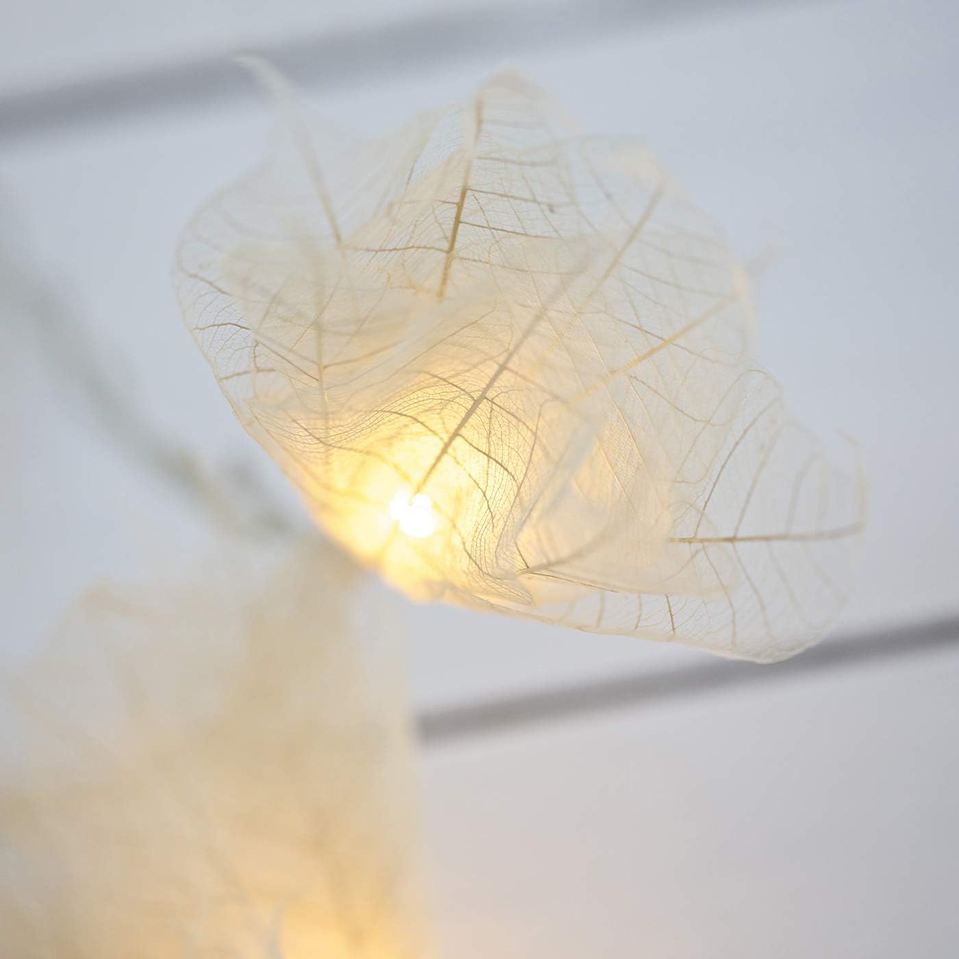 Blaze On Natural Leaf Fairy Lights (Cream Coloured), 20 Warm White LED Lights, Handcrafted from Real Rubber Tree Leaves - Image 5