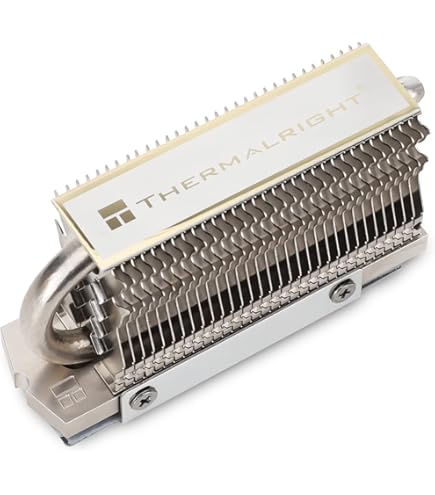 Amazon.com: Thermalright HR-09 2280 PRO Black SSD heatsink, Double