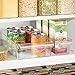 iDesign Linus Plastic Fridge and Freezer Storage Organizer Bin with Handle, Clear Container for Food, Drinks, Produce Organization, 8