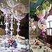 Caryo 24 Inch Clear Foil Helium Balloons Creative Bobo Balloons for Wedding Birthday Party Decorations (2pcs)