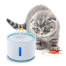 AST Bubble Bead XS-500