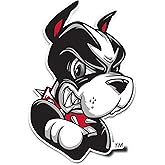 Desert Cactus Boston University Sticker Terriers BU Vinyl Decal Laptop Water Bottle Car Scrapbook (IND 17)