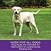 Wellness Pure Rewards Natural Grain Free Dog Treats, Chicken & Lamb Jerky, 6-Ounce Bag
