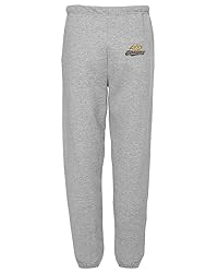 LOGOVISION Webster University Primary Logo Mens