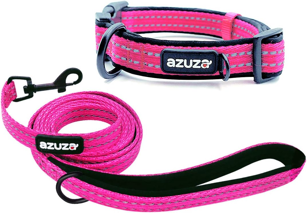 most secure dog leash