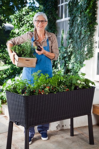 1 Keter+238699+Elevated+Garden+Anthracite