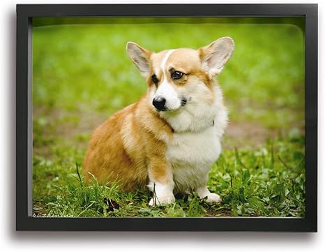 Amazon Co Jp Hxh Artframe コーギー 犬 絵 絵画 アート パネル インテリア 壁掛け ポスター キャンバス フレーム セット Art 雑貨 飾り グッズ 完成品 プレゼント アニメ 動画 可愛い オシャレ 風景 モダン 現代 ホーム キッチン
