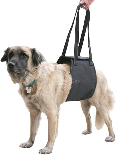 The 11 Best Dog Lift Harnesses Of 21