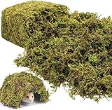 Riare 1.3LBS Artificial Fake Moss for Fake Plants