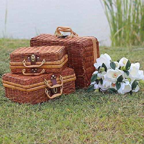 HWTP Cesto de Picnic de Viaje Hecho a Mano de Mimbre Estuche de