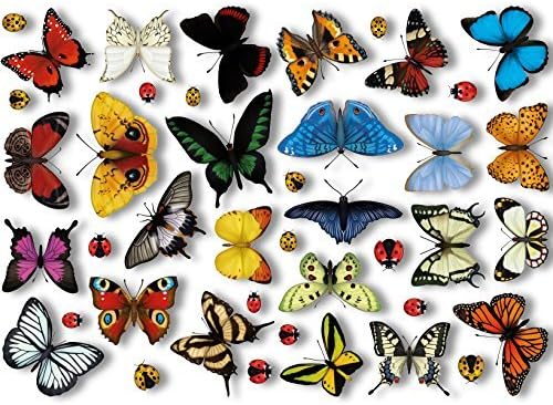 25 Realistic Butterflies & 17 Ladybird Window Clings by Articlings - Non-Adhesive Stickers Quickly Decorate and Brighten Your Windows