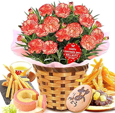 Amazon 母の日 カーネーション 5号鉢 花コラボ 和菓子 豪華スイーツ セット 花とスイーツ 花鉢 生花 母の日のプレゼント フラワーギフト プラリネ 観葉植物 オンライン通販