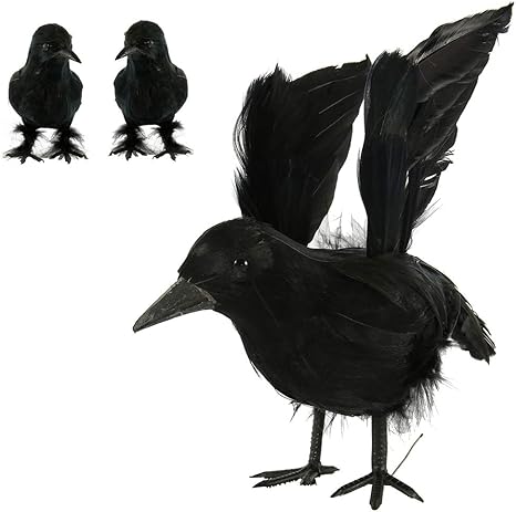Amazon Thatboyjp ハロウィン 飾り ホラー カラス 小道具 置物 ハロウィーンシーン 雰囲気満々 ハロウィン装飾 カラスおもちゃ 怖い ホラー お化け屋敷 グッズ ハロウィン コスプレ 道具 ハロウィン グッズ 鳥黒羽毛 6羽セット 約 7 5cm プラモデル 通販